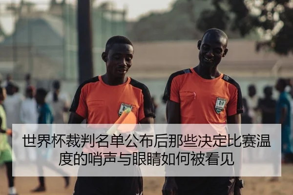世界杯裁判名单公布后那些决定比赛温度的哨声与眼睛如何被看见